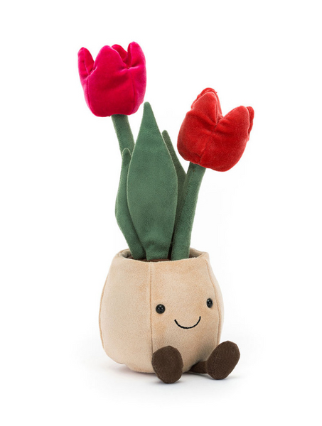 jelly065 紅玫瑰花盤栽 送女友禮物 Tulip Pot 30cm (平行進口)