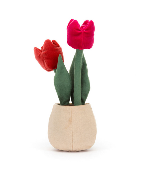 jelly065 紅玫瑰花盤栽 送女友禮物 Tulip Pot 30cm (平行進口)