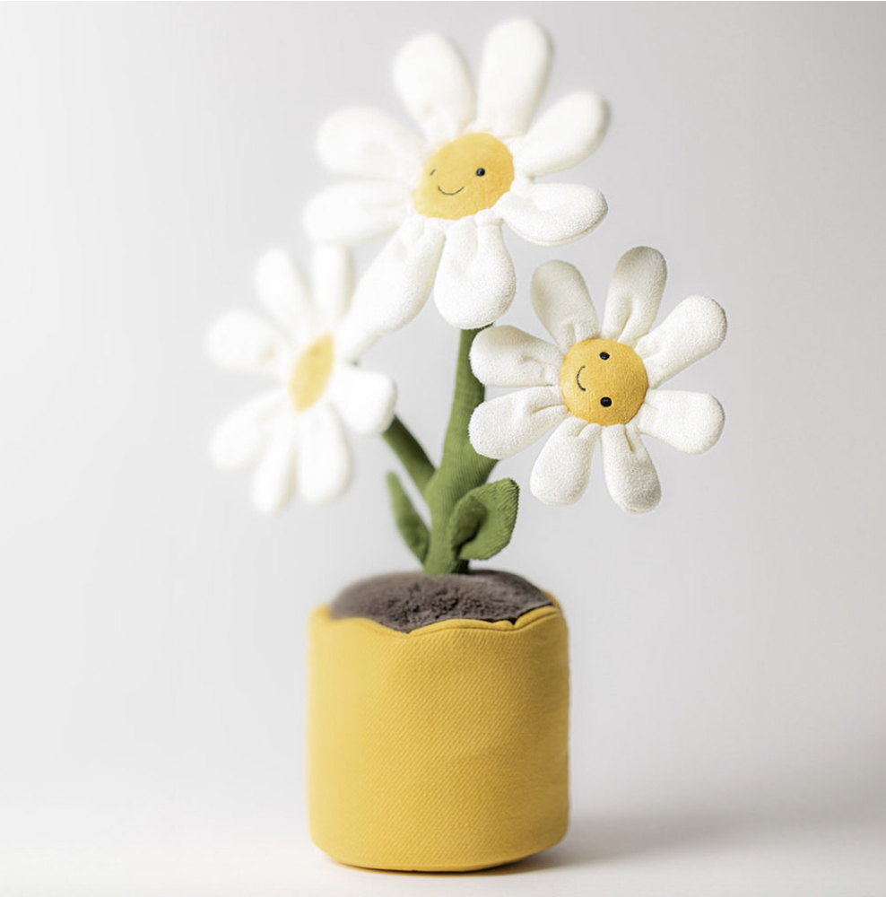jelly079 放係屋企 一盤雛菊 送俾人入伙禮物 34cm (平行進口)