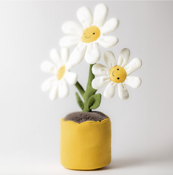 jelly079 放係屋企 一盤雛菊 送俾人入伙禮物 34cm (平行進口)
