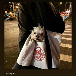 TJ118 香港現貨 Trader Joe's Canvas Tote