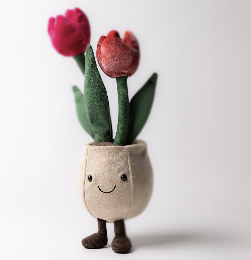 jelly065 紅玫瑰花盤栽 送女友禮物 Tulip Pot 30cm (平行進口)