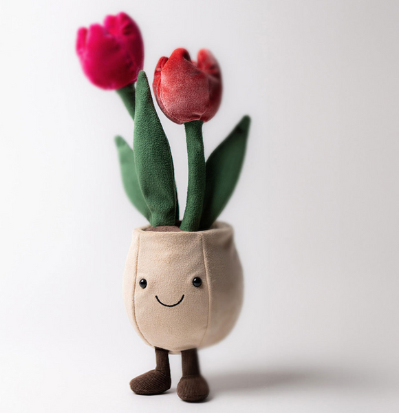 jelly065 紅玫瑰花盤栽 送女友禮物 Tulip Pot 30cm (平行進口)
