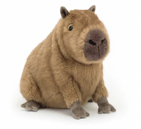 jelly008 香港現貨 Jellycat 水豚豬24cm