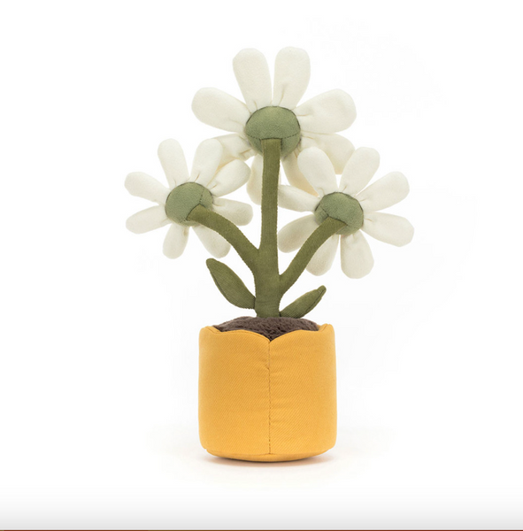 jelly079 放係屋企 一盤雛菊 送俾人入伙禮物 34cm (平行進口)